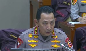 bG9jYWw6Ly8vcHVibGlzaGVycy81NTM3OTgvMjAyNjAxMjYxMjA3LW1vYmlsZS5jcm9wcGVkXzE3Njk0MDQwOTMuanBn